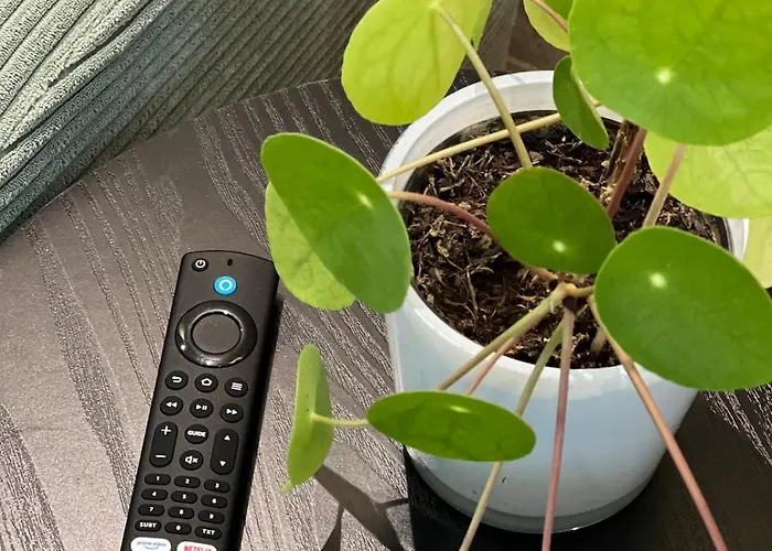 Apartamento Little Rose - Modern, Central, Near Train Station, Wifi & Parking Nearby